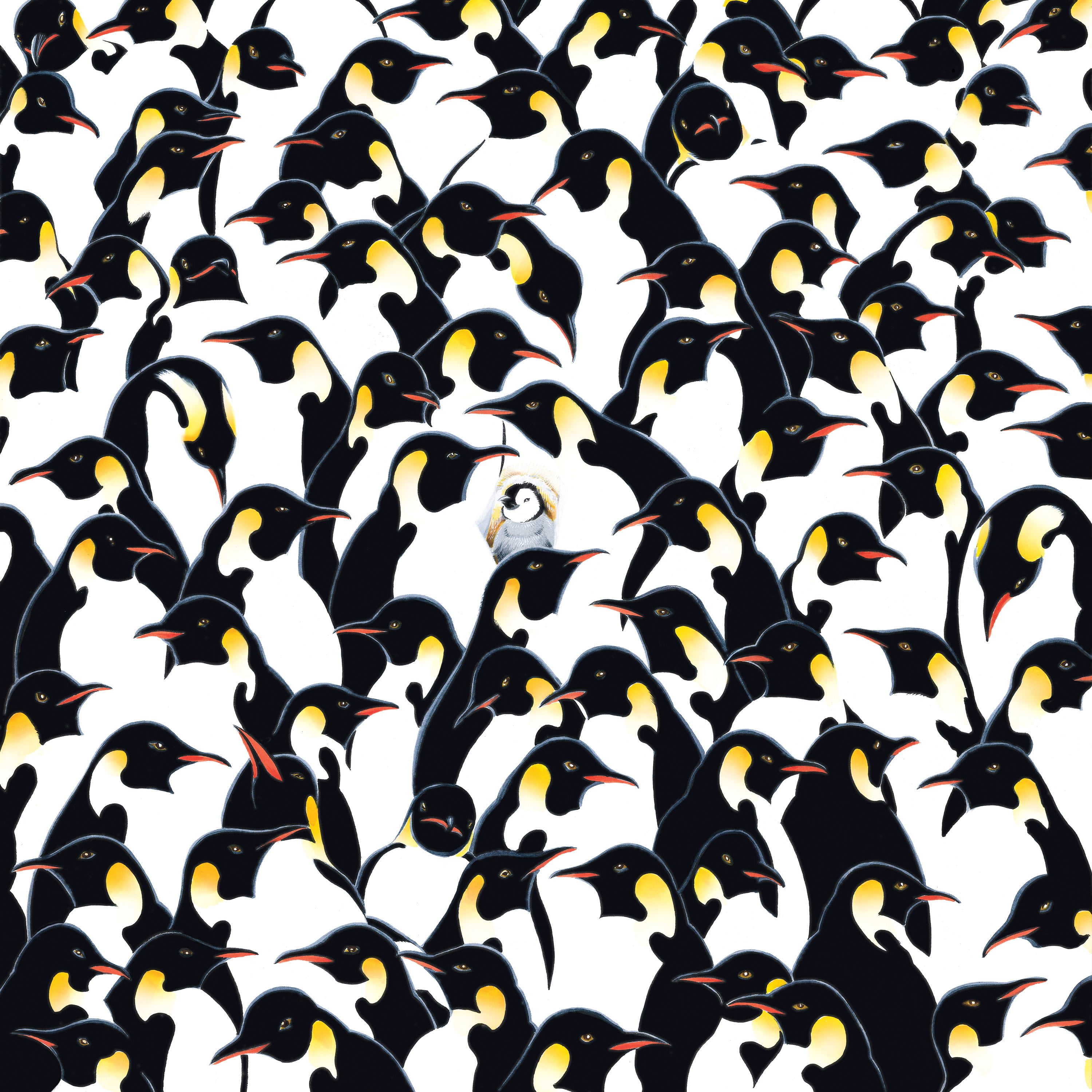 TDC Games World's Most Difficult Jigsaw Puzzle Penguins 500 Pieces - 15 in.