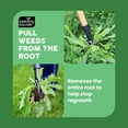 thumbnail image 4 of The Weed Gobbler Carbon Steel & Bamboo Stand-Up Weed Puller Tool for Dandelions and Single-Root Weeds – Ergonomic Lawn Weeder for Back-Friendly Weed Removal, 4 of 4