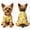 Orange, variant on Dog Pajamas Small Sized Boy Girl, Cotton Stretchable Pet Clothes Jammies Puppy Outfits for Dogs Female Male, Spring Summer Doggie Doggy Pjs, Carrot M