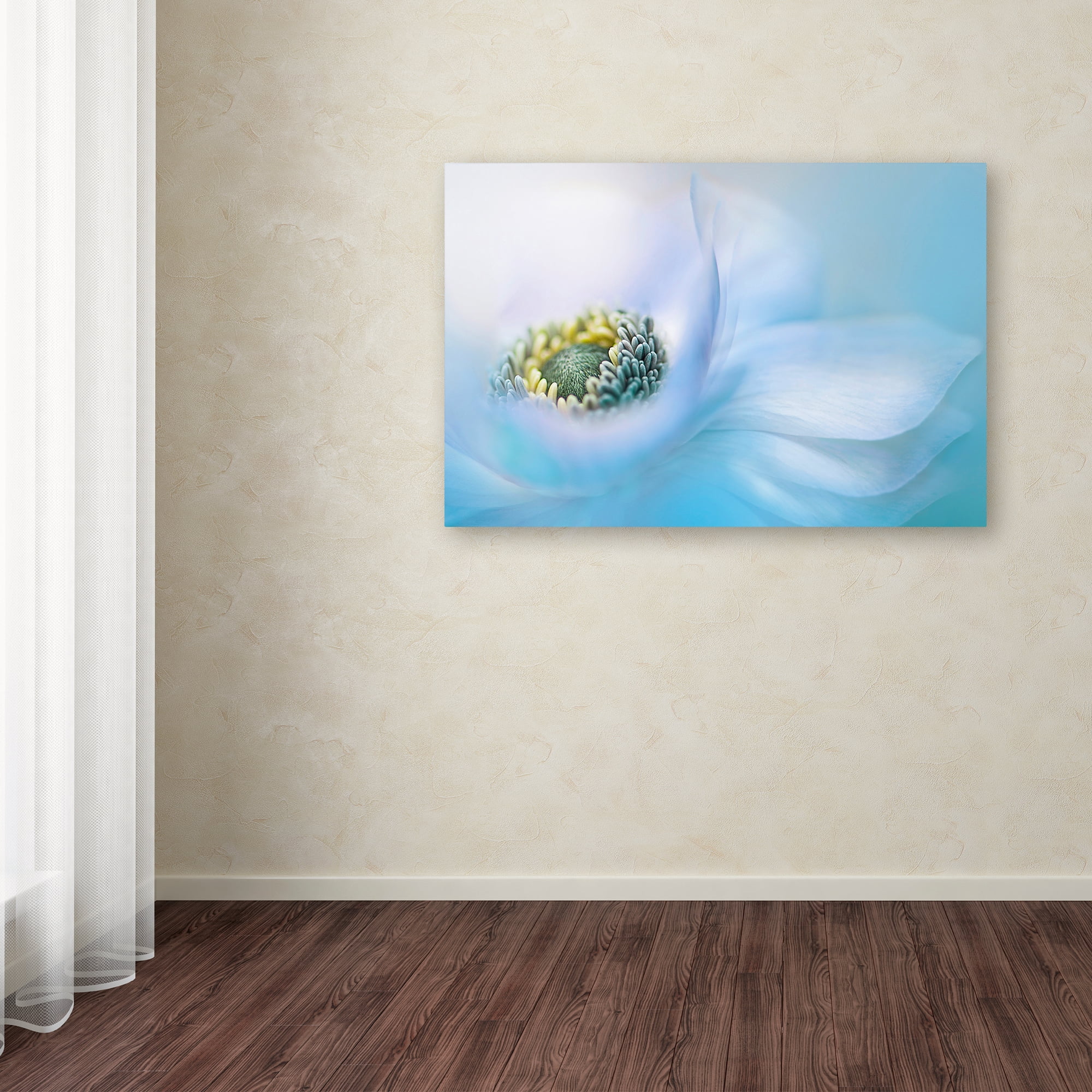 Trademark Fine Art 'Flow' Canvas Art by Jacky Parker