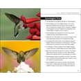 thumbnail image 5 of Hummingbirds (Paperback), 5 of 5