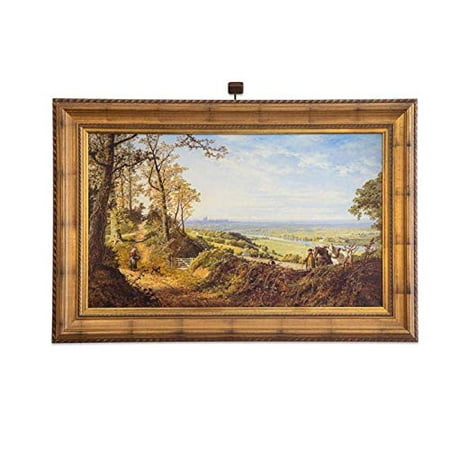 

Situ Lighting: Plug-in Micro Series Compact Remote Controlled LED Picture Light USA Made (Antique Bronze B) 2 Light (Artwork up to 30 Wx34 T or 26 Wx48 T))