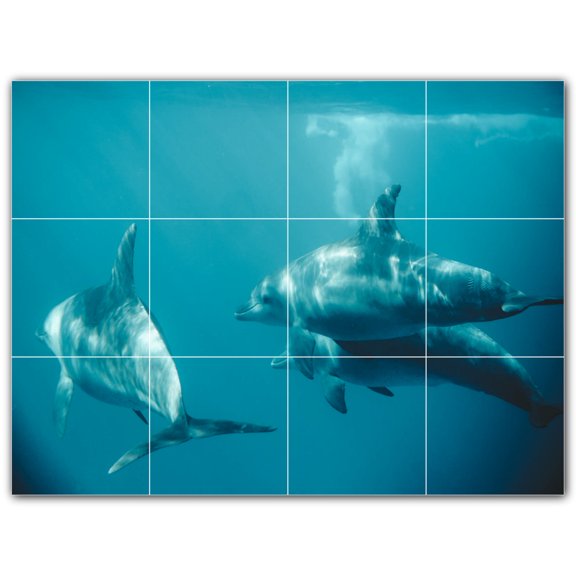 Picture-Tiles.com: Dolphin Ceramic Tile Wall Mural WAL500526-43M. 24"W x 18"H using (12) 6" x 6" Ceramic Tiles-Satin Finish