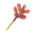 thumbnail image 4 of Planta Suculenta De La Simulación De 2Pieces 10x5cm Para La Decoración Del Jardín Casero De DIY Zulema Plantas suculentas de la simulación, 4 of 7