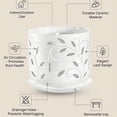 thumbnail image 4 of BUYMAX 5+6 inch Orchid Pot with Holes, Ceramic Plant Pots with Drainage Holes and Tray,Decorative Indoor Outdoor White Flower pots with Saucers, 4 of 7
