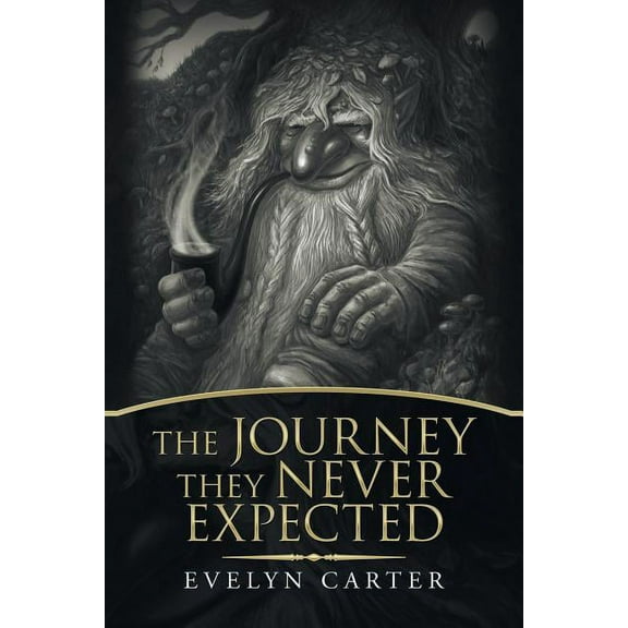 The Journey They Never Expected (Paperback)