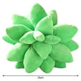 thumbnail image 3 of Almohada decorativa Colco de cactus suculentas Peluche 25cm, 3 of 8