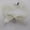 White, variant on K-KED Gothic Lace Bow-Knot Choker Necklace Fashion Collar Necklace Vintage Jewelry-Black
