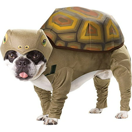 Pet Tortoise Animal Planet Sma