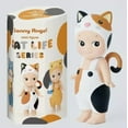 thumbnail image 1 of Minifigura de edición limitada de la serie Cat Life de Sonny Angel (1 caja sorpresa sellada), 1 of 8