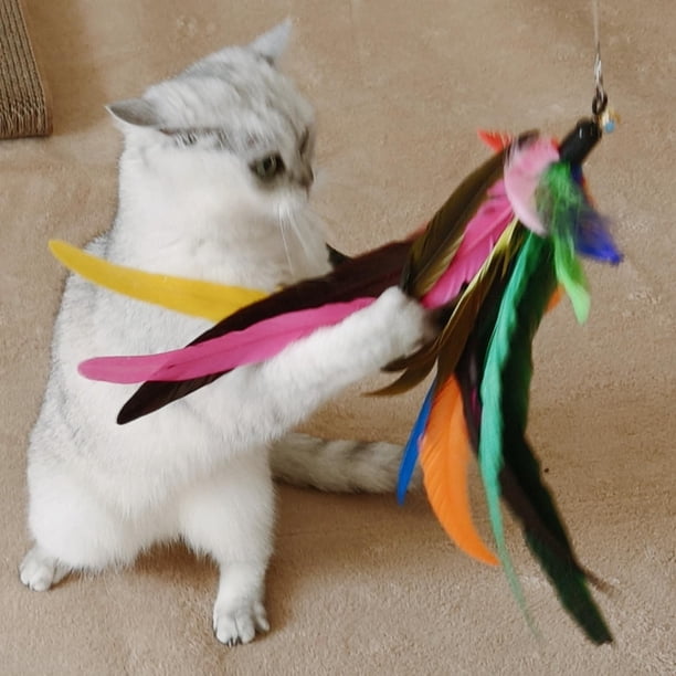 da bird fishing pole for cats Rod and Feather Toy Cat Tail Cat Behavior & Play Therapy
