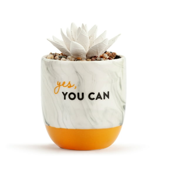 Demdaco Yes You Can Succulent Marbled Orange 4.5 x 3 Ceramic Oil Diffuser