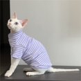 thumbnail image 4 of TheFound T-Shirts Rayés Chat Mignon Automne Hiver Chauds Col Rond Sphinx à Deux Pieds Vêtements pour Chat, 4 of 6