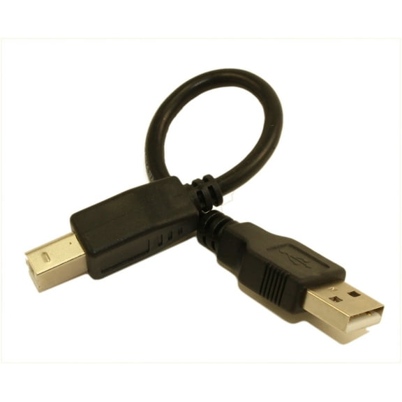 6inch USB 2.0 Certified 480Mbps Type A Male to B Male Cable, Black