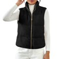 thumbnail image 4 of TGSLY Sherpa Fleece Vest Jacket for Women Warm Soft Stand Collar Zip Up Solid Color Coat Loose Casual Sleeveless Fall Winter Gilet with Pockets L, 4 of 8