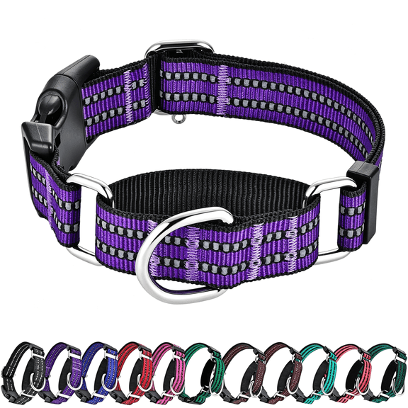 GASTROPOD Martingale Collar for Dogs Reflective Nylon Dog Collar with Quick Release Buckle Adjustable Training No Slip Dog Collar, Safe Martingale Collar for Dogs (Small, Purple)