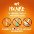 thumbnail image 5 of Fruitables Skinny Minis Pumpkin and Mango Flavor Healthy Low Calorie Dog Treats, 5 Ounces, 5 of 6