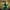 Green, variant on Toys Dinosaur Electric Smart Spray Electric Dinosaur Toy Atomization Fire-breathing Dinosaur Birthday Gift Kids Toys