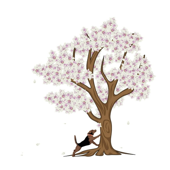 Tree Wall Sticker- Floral DIY Wall Art - Cherry Blossom Mural Decor For Home - Self Adhesive Vinyl Made Stickers For Nursery,Living Room,Baby room,Bed room etc-Size 10" x 10".