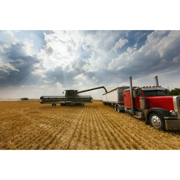Paplow Harvesting Company custom combines a wheat field, near Ray; North Dakota, United States of America Poster Print (38 x 24)