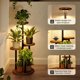thumbnail image 3 of Soporte para plantas con luces de crecimiento, estante alto de metal para plantas de esquina, estante para plantas de interior, 3 of 6