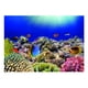 thumbnail image 2 of Adhesivo de Fondo de Acuario para , Acuario Mundial , Mural Los 61x41cm Zulema Pegatina pecera, 2 of 8