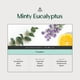 thumbnail image 3 of Aceite esencial de eucalipto Aromaplan, menta, 50 ml, de Hotel Scents, 3 of 6