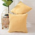 thumbnail image 2 of 45cm Coussin Et Housse De Coussin Ray Jaune Clair Lot De 2, Velours Ctel Doux Dcoratif Carr Housse De Coussin Housses De Coussin Taie D'oreiller,, 2 of 5
