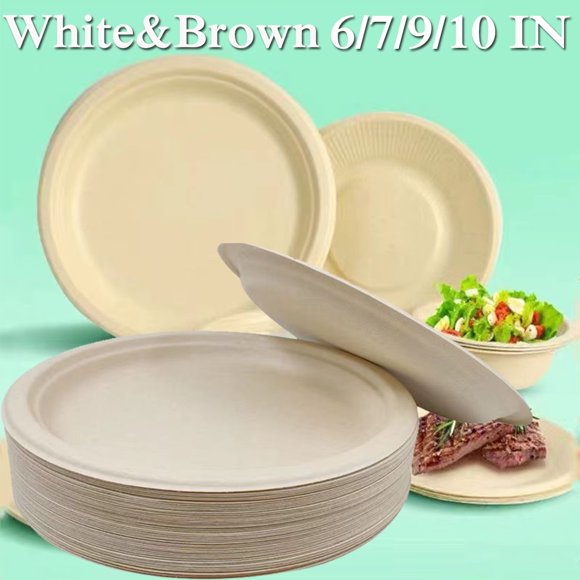 6 disposable plates Clearance