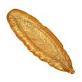 thumbnail image 1 of Red Pomegranate 1104-1 Swan Antique Small Tray, Gold, 1 of 2