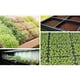 thumbnail image 5 of Plástico Para Plántulas, Iniciadores De Semillas, Bandejas De Cultivo, Fondo De Malla Para Microgreens, Bloques De Suelo, Hierba De Trigo 2 Uds. Bandeja Scienceny HA030735-00, 5 of 6