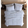 thumbnail image 2 of SOCIAL STANDARD by SANCTUARY 3 Piece Comforter Set, 2 of 2