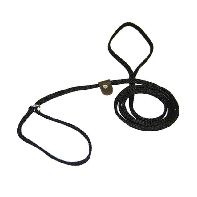 Flat 0.25 in. Braided Rope Lead with Slip, Red