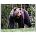 thumbnail image 1 of Picture-Tiles.com: Bear Ceramic Tile Wall Mural WAL500123-54M. 30"W x 24"H using (20) 6" x 6" Ceramic Tiles-Satin Finish, 1 of 3