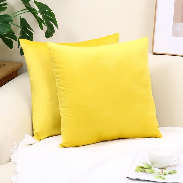 Cterwk - Juego de 2 fundas de cojín de terciopelo, suaves y decorativas, cuadradas, para sofá, cama, salón, coche, 55,8 x 55,8 cm