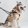 thumbnail image 6 of Heavy-Duty Dog Sledding Harness Adjustable Reflective Strap Winter Canicross Weight-Pulling Gear, 6 of 8