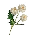thumbnail image 3 of 3 Headed Artificial Ranunculus Flowers, Realistic Lifelike Faux Floral Stems, High End Decorative Bouquet Picks, Elegant Accents for Home Wedding Table Centerpieces Holiday Arrangements, White-A, 3 of 6