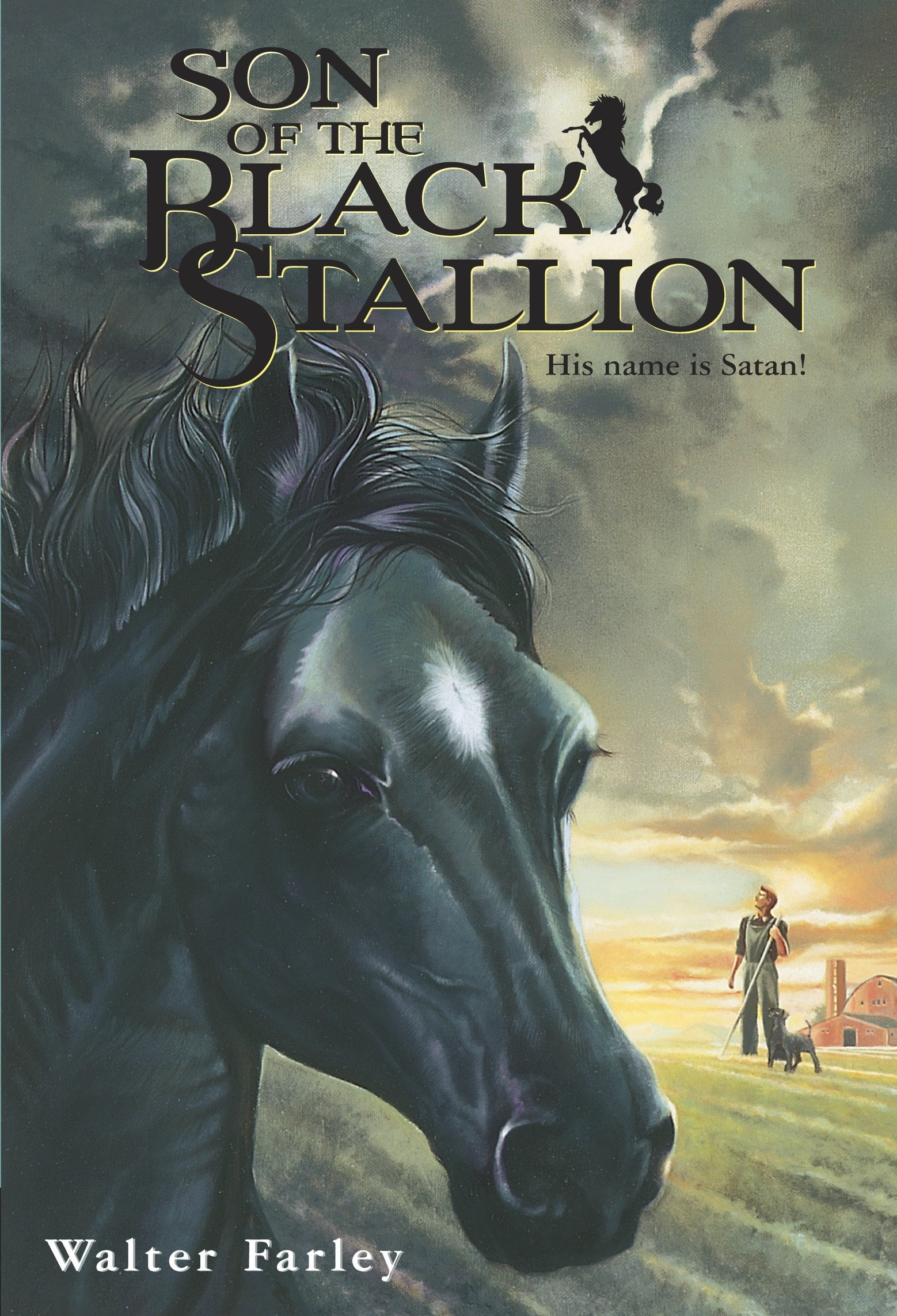 Black Stallion Son of the Black Stallion (Paperback)