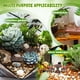 thumbnail image 4 of 10 piezas de adornos de muebles de jardín en miniatura, mini mesas y sillas, figuras en miniatura, decoración de resina, microadornos para paisajismo., 4 of 6