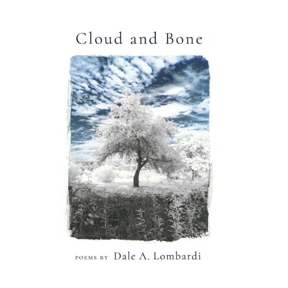 Cloud and Bone (Hardcover)