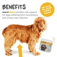 thumbnail image 2 of maxxiUtract Urinary and Bladder Supplement for Dogs - Powder 5.3 oz, 2 of 9