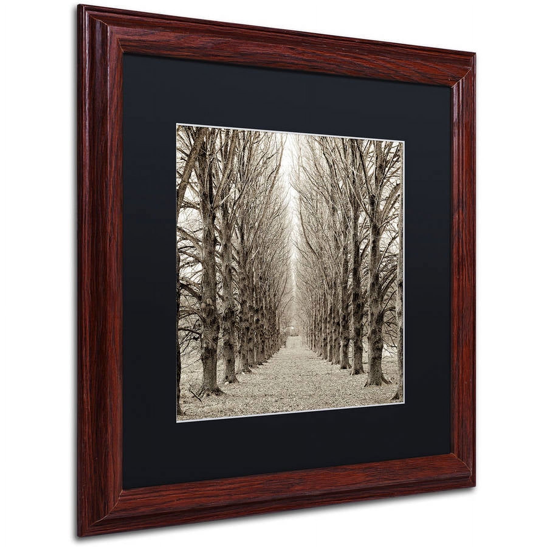 Trademark Fine Art "Hampton Gates Promenade III" Canvas Art by Alan Blaustein, Black Matte, Wood Frame