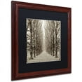 thumbnail image 2 of Trademark Fine Art "Hampton Gates Promenade III" Canvas Art by Alan Blaustein, Black Matte, Wood Frame, 2 of 4