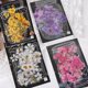 thumbnail image 1 of 160Pcs Scrapbook Sticker Set DIY Decorative Nature Decal Sticker Stamp for DIY Craft Card Scrapbooking Journal Planner Notebook and Album Craft Bullet, 1 of 4