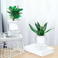 thumbnail image 7 of Cheers.US Self Watering Planter, Clear Plastic Automatic-Watering Planter Self Watering Pots for Indoor Plants Flower Pot for All House Plants, Succulents, Herb, African Violets, 7 of 7
