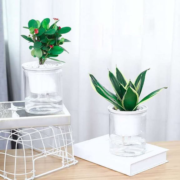 Yesbay Clear Automatic Water Absorption Self Watering Hydroponic Flower Pot Planter,5.9inch x 4.3 inch