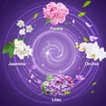 thumbnail image 2 of Plug In Refills Air Freshener, Peony, Jasmine, Orchid, Lilac Scents, Compatible with Air Wick & Glade, Plug In Air Fresheners for Home and Bathroom, 12 ct, 2 of 7