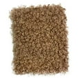 thumbnail image 5 of Sharprepublic Curly Fabric 16.9x14.9 inch Faux Fur Cloth for DIY Crafts Blanket Upholstery Camel, 5 of 8