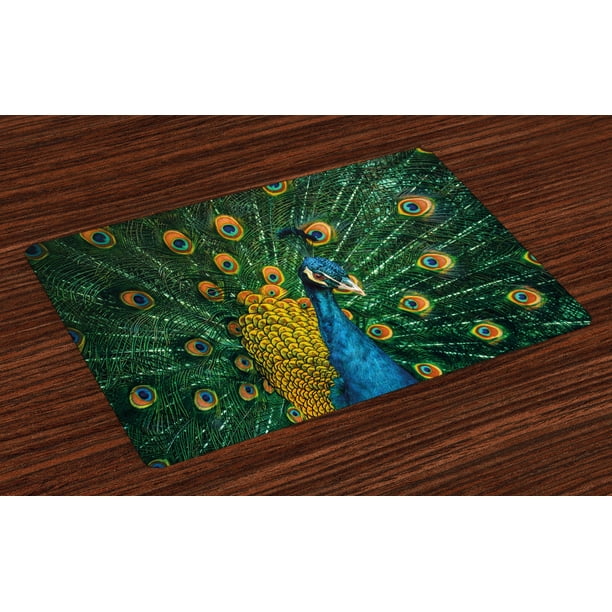 Peacock Placemats Set of 4 Portrait Of The Peacock Courtship Display