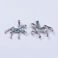 thumbnail image 4 of 5 pc Abalone Shell/Paua Shell Pendants with Platinum Tone Brass Bail Unicorn 25.5x35.5x2.5mm Hole: 5x8mm, 4 of 4